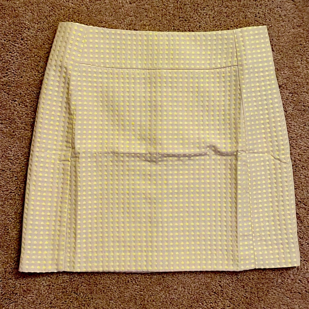 LOFT Women’s Skirt
